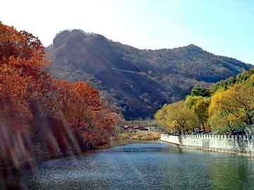 澳门期期准免费精准，骨架油封型号